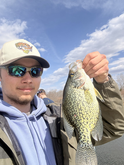 Black Crappie