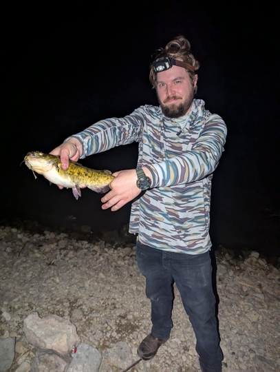 Bullhead