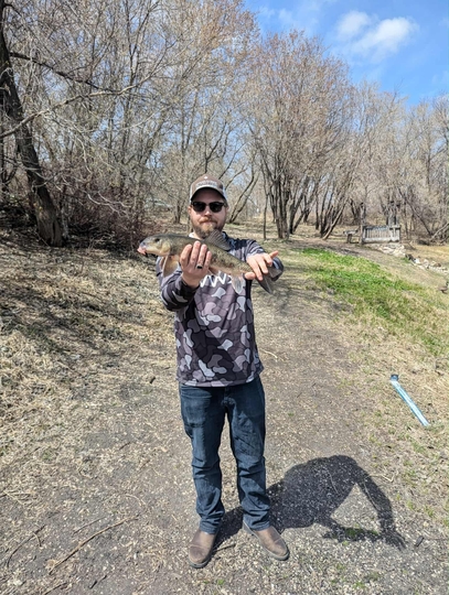 Sucker