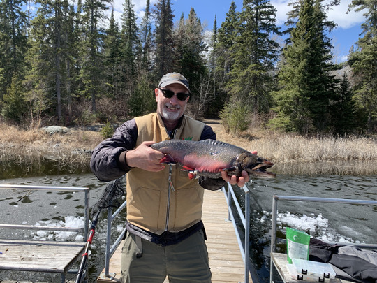 Brook Trout