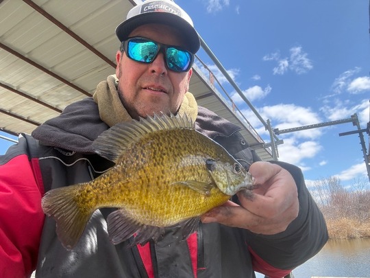 Sunfish