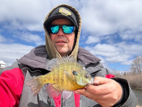 Sunfish