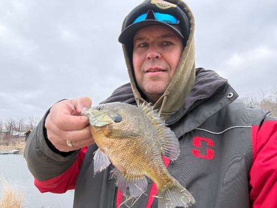 Sunfish