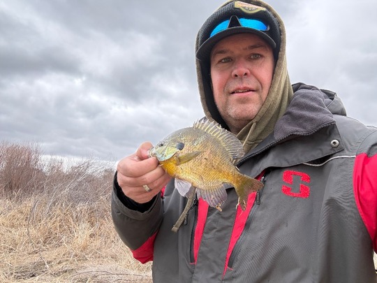 Sunfish