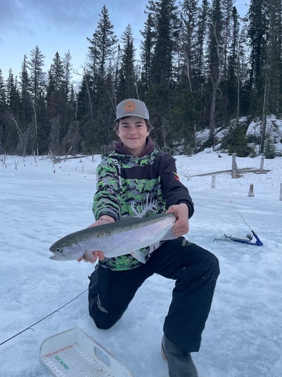 Rainbow Trout
