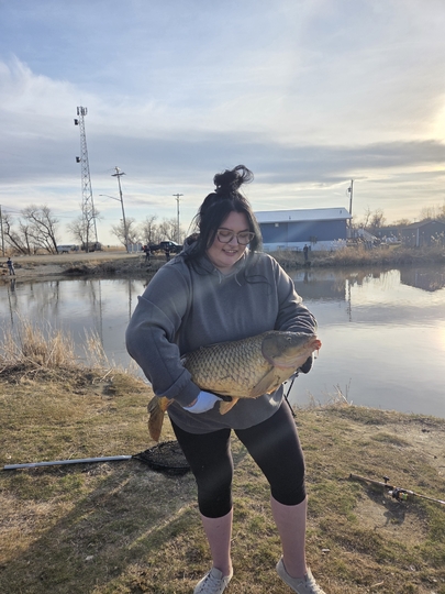 Common Carp