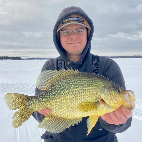 Black Crappie