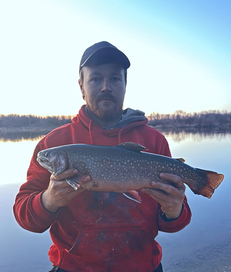 Brook Trout