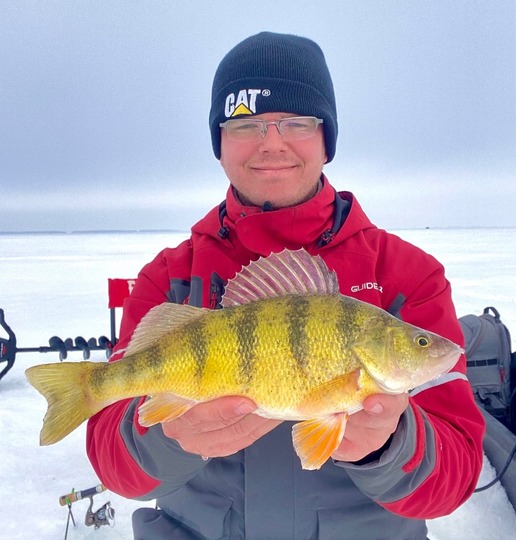 Yellow Perch