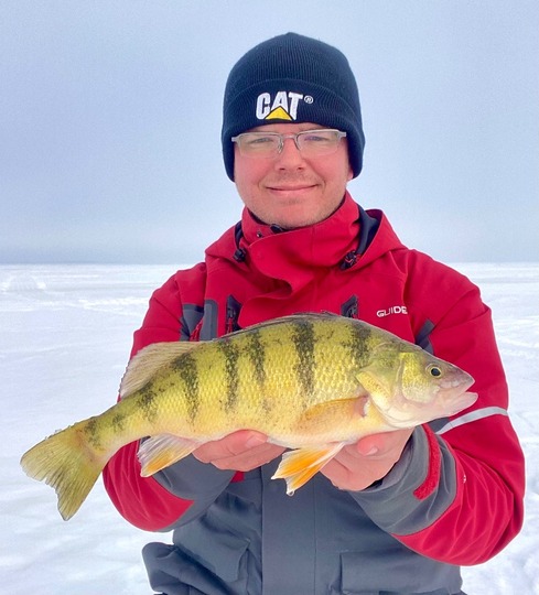 Yellow Perch