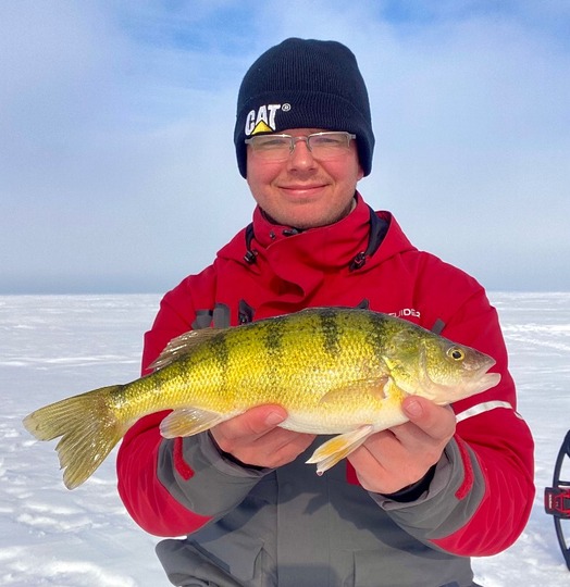 Yellow Perch