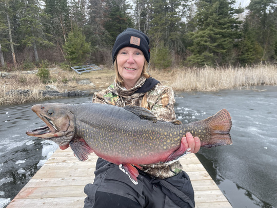 Brook Trout