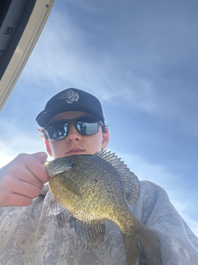Sunfish