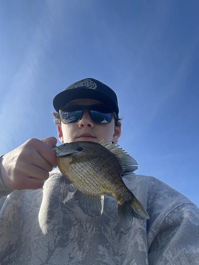 Sunfish