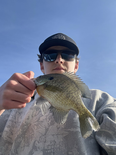 Sunfish