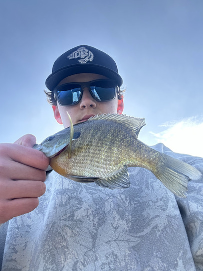 Sunfish