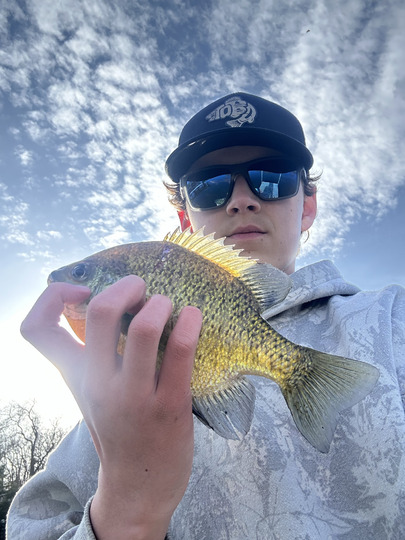 Sunfish