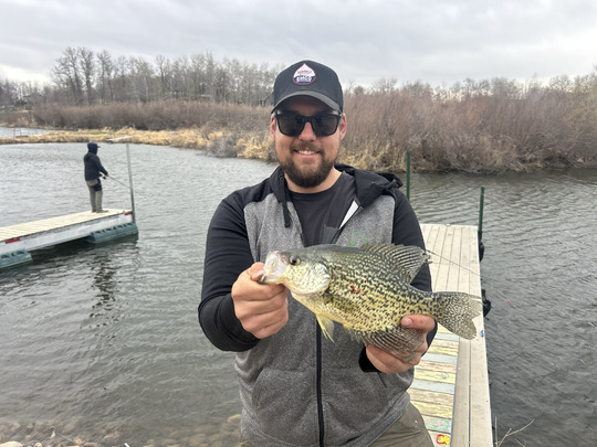 Black Crappie
