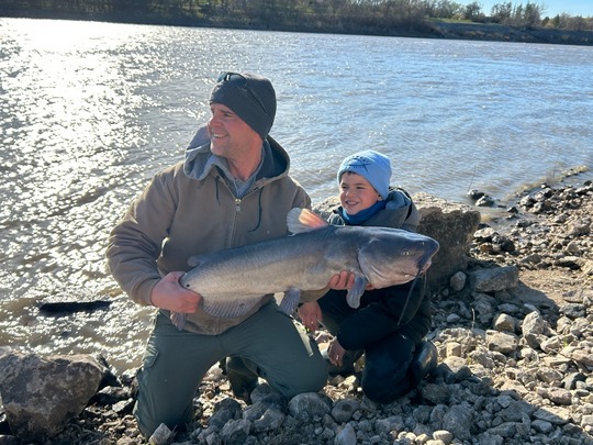 Channel Catfish