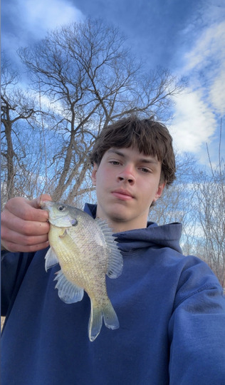 Sunfish