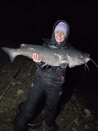 Channel Catfish