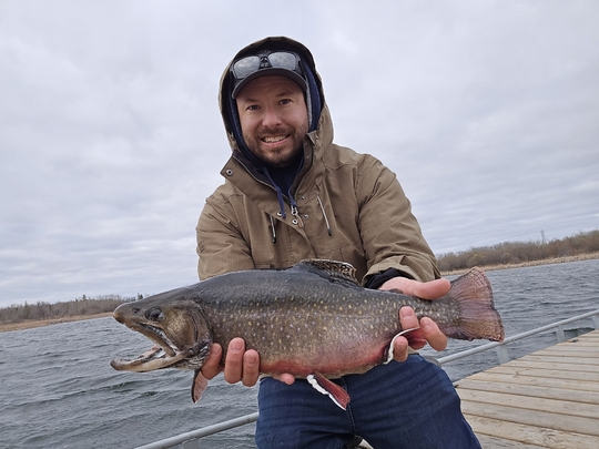 Brook Trout