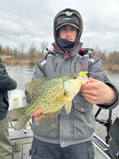 Black Crappie