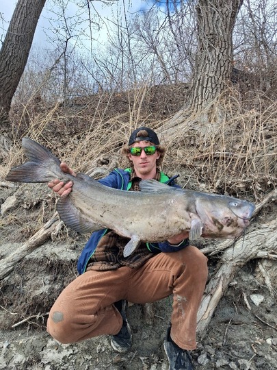 Channel Catfish