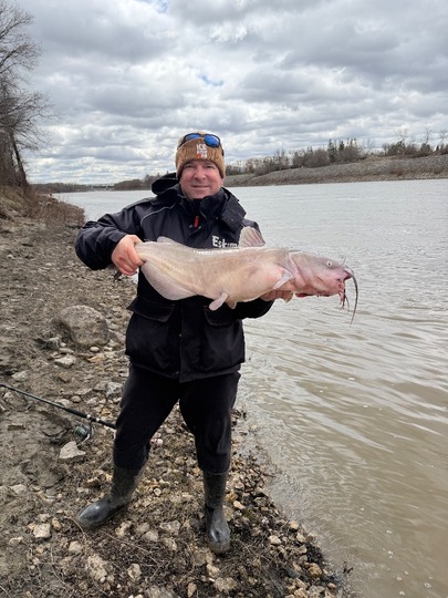 Channel Catfish
