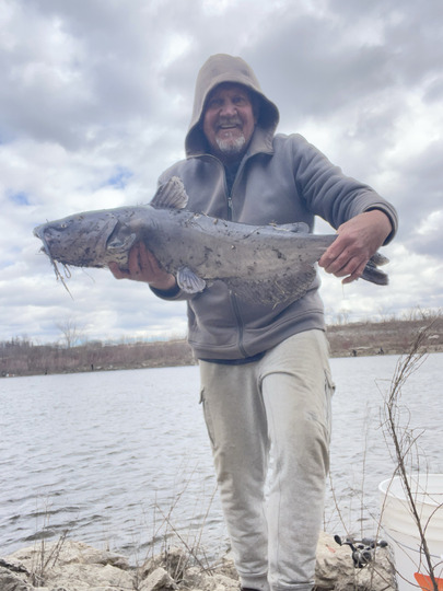 Channel Catfish
