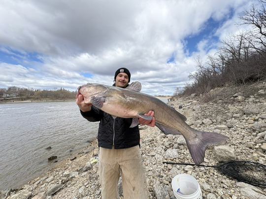Channel Catfish