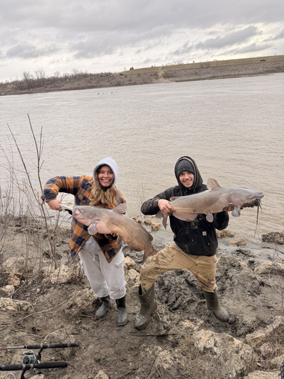 Channel Catfish