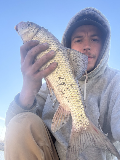 Sucker