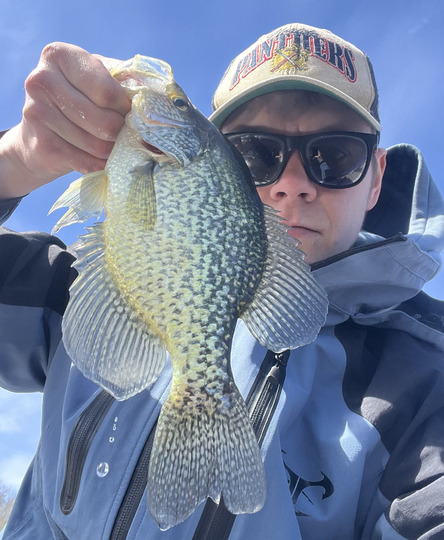 Black Crappie