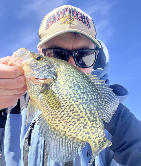 Black Crappie
