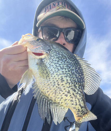 Black Crappie