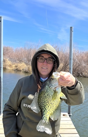 Black Crappie