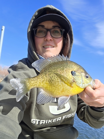 Sunfish
