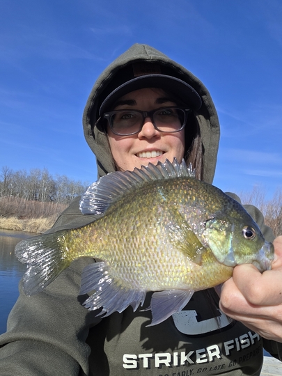 Sunfish