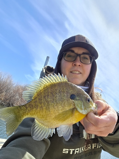 Sunfish