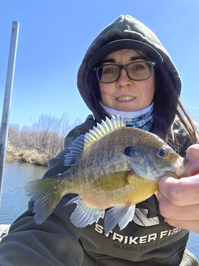 Sunfish