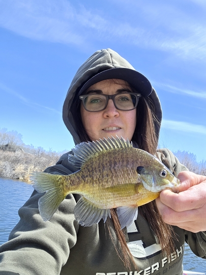 Sunfish