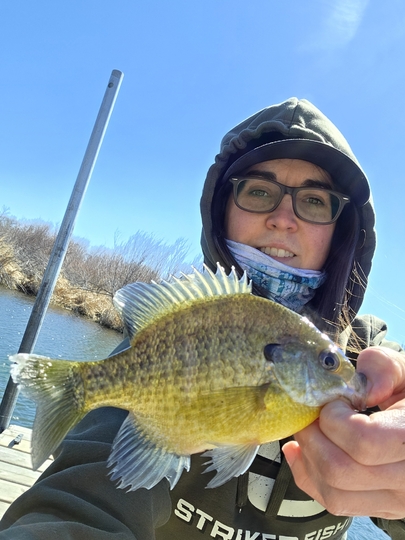 Sunfish