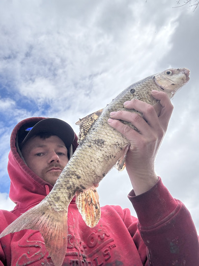 Sucker