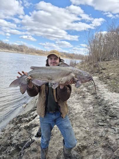 Channel Catfish