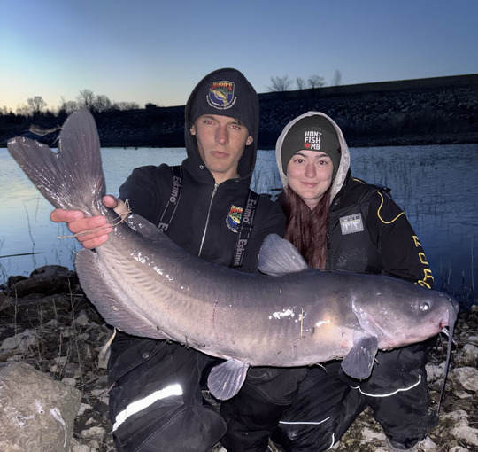 Channel Catfish
