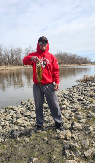 Bullhead