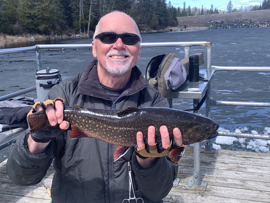 Brook Trout