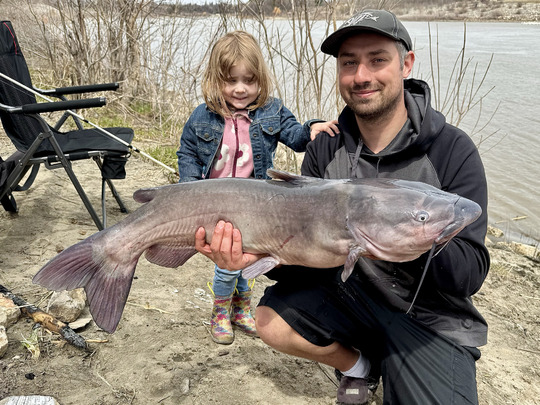 Channel Catfish