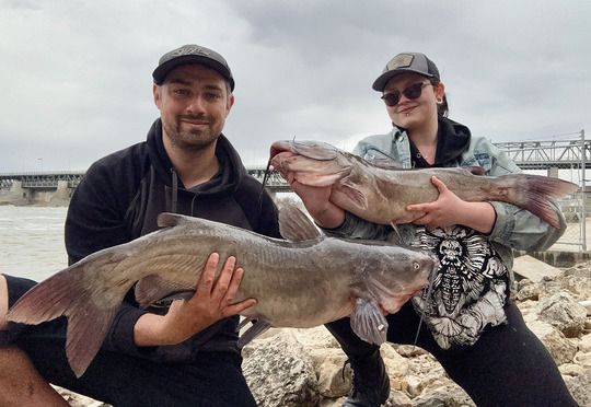 Channel Catfish